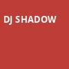 DJ Shadow, The Orange Peel, Asheville