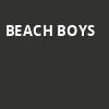 Beach Boys, Salvage Station, Asheville